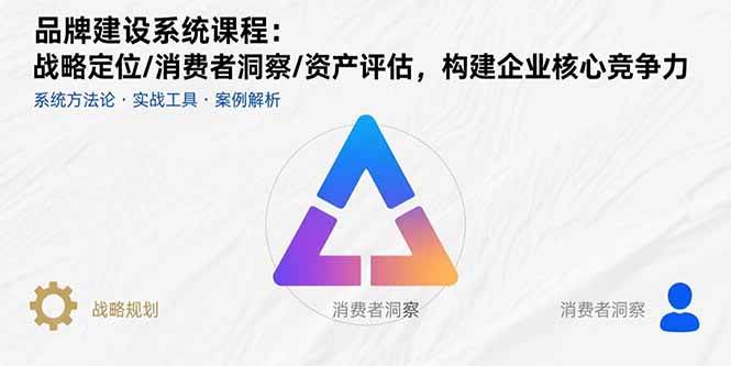（15772期）品牌建设系统课程：战略定位/消费者洞察/资产评估，构建企业核心竞争力-千帆网赚