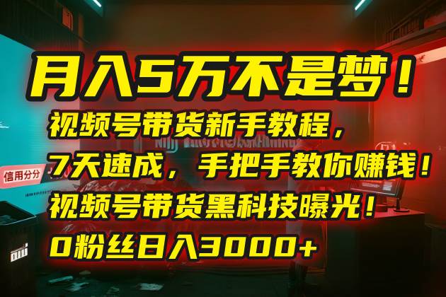 （15595期）月入5万不是梦！视频号带货新手教程，7天速成，手把手教你赚钱！视频号…-千帆网赚