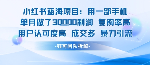 小红书蓝海项目，一部手机单月做了3W利润，小白也能月入过1W用户认可度高成交多-千帆网赚