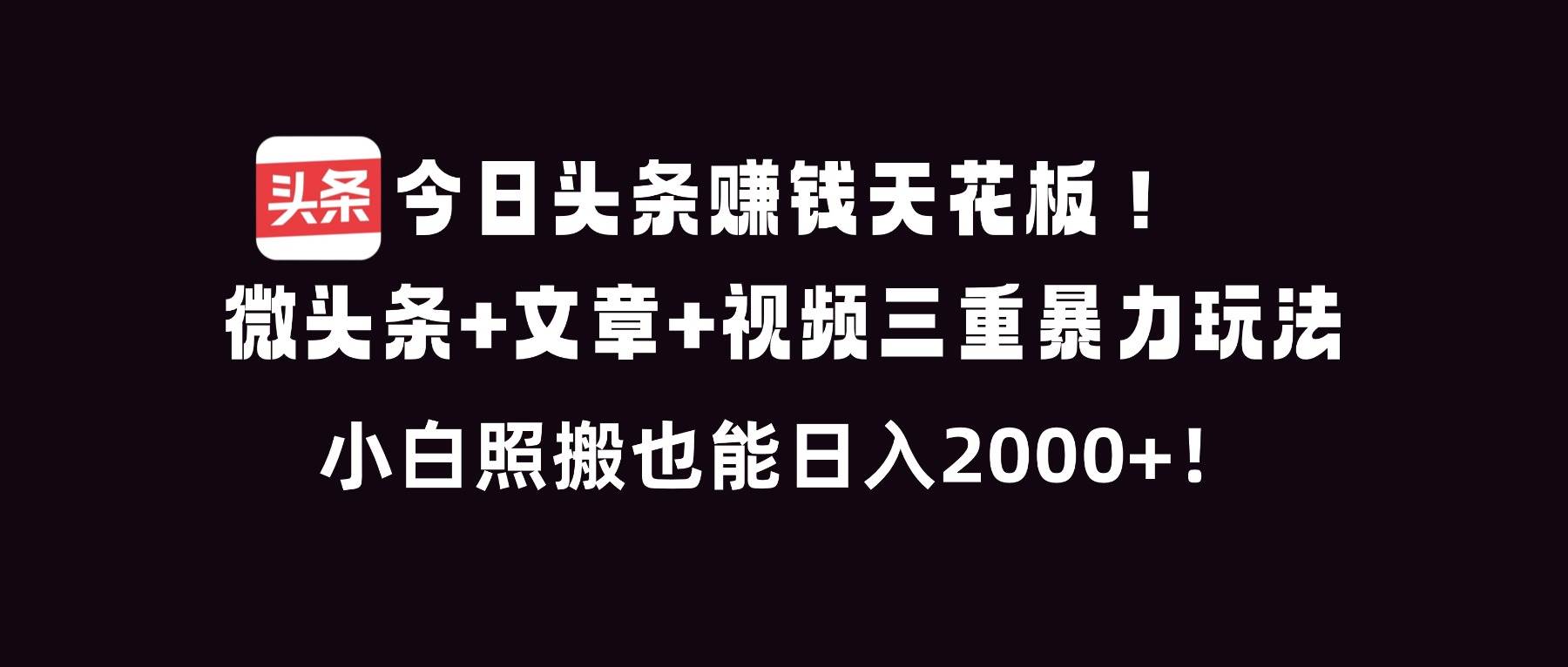 （16888期）今日头条赚钱天花板！微头条+文章+视频三重暴利玩法，小白照搬也能日人2000+-千帆网赚