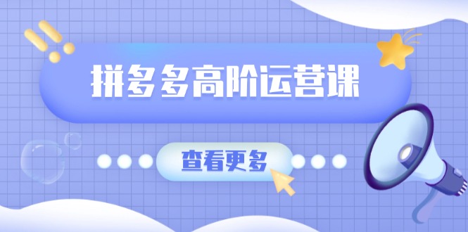 （14327期）拼多多高阶运营课：极致群爆款玩法，轻付费无尽复制，打造单品爆款之路-千帆网赚