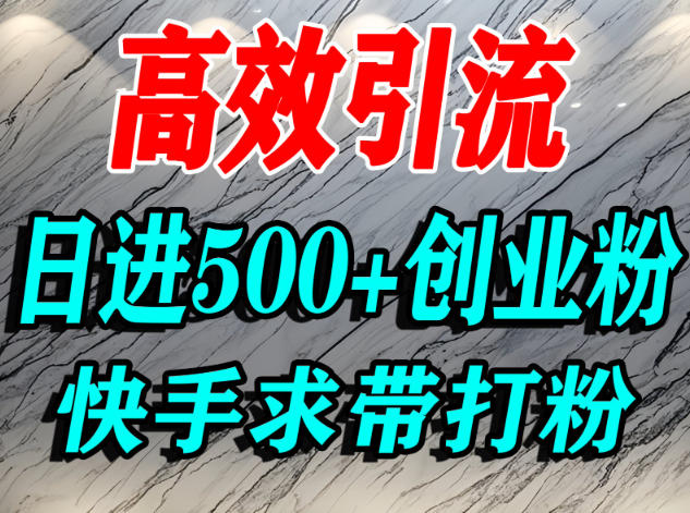 怎么打创业粉？快手求带视角精准引流创业粉，宝妈、学生群体日进500+精准流量-千帆网赚