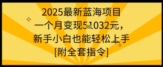 2025最新蓝海项目一个月变现1w+新手小白也能轻松上手【附全套指令】-千帆网赚