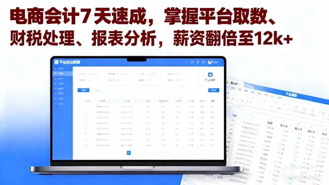 （16192期）电商会计7天速成，掌握平台取数、财税处理、报表分析，薪资翻倍至12k+-千帆网赚