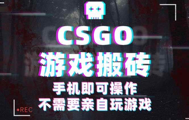 （16090期）CSGO游戏挂机捡漏，单日扫货500+，年底小高峰上车可吃肉，手机即可操作…-千帆网赚