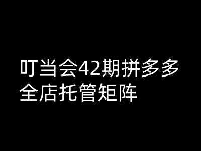 叮当会拼多多打爆班原创高阶技术第42期，拼多多全店托管矩阵-千帆网赚