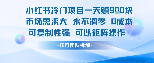 小红书冷门项目一天收益9张，市场需求大，0成本，可复制性强可以矩阵操作-千帆网赚